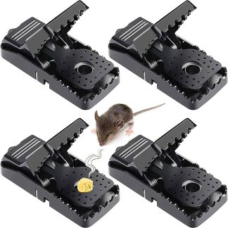 Mouse Trap 4 Pis