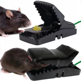 Mouse Trap 1 Pcs