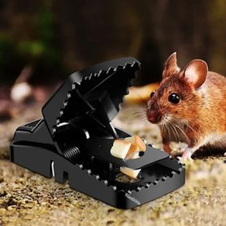 Mouse Trap 2 pis